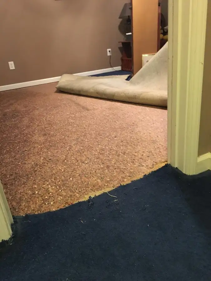 Carpet pad removal revealing water damage during Drying & Dehumidification in Lake Forest Park