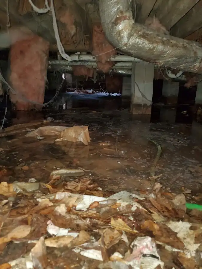 Crawl space flood assessment for Leak Detection & Repair in Lake Forest Park