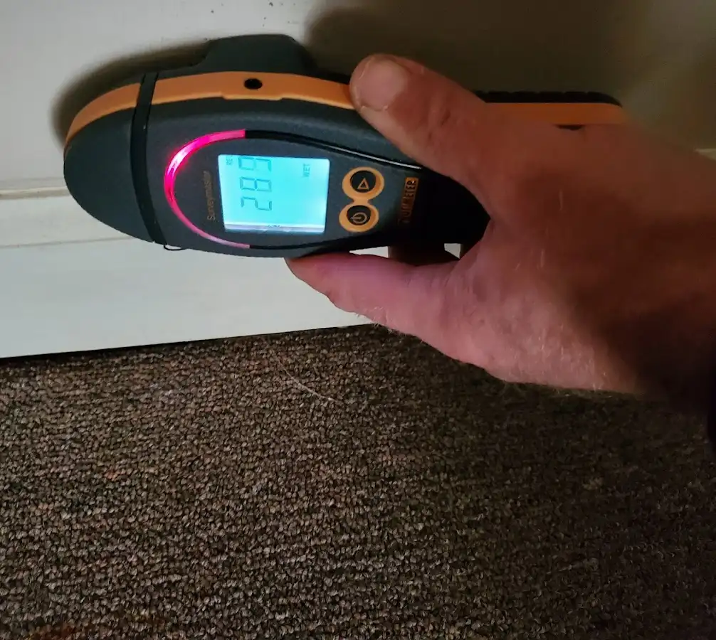 Moisture detection at baseboard during Sewage Cleanup & Sanitation in Lake Forest Park